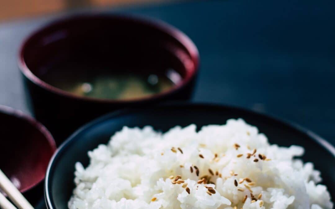 The Ultimate Rice Cooker for Sticky Rice