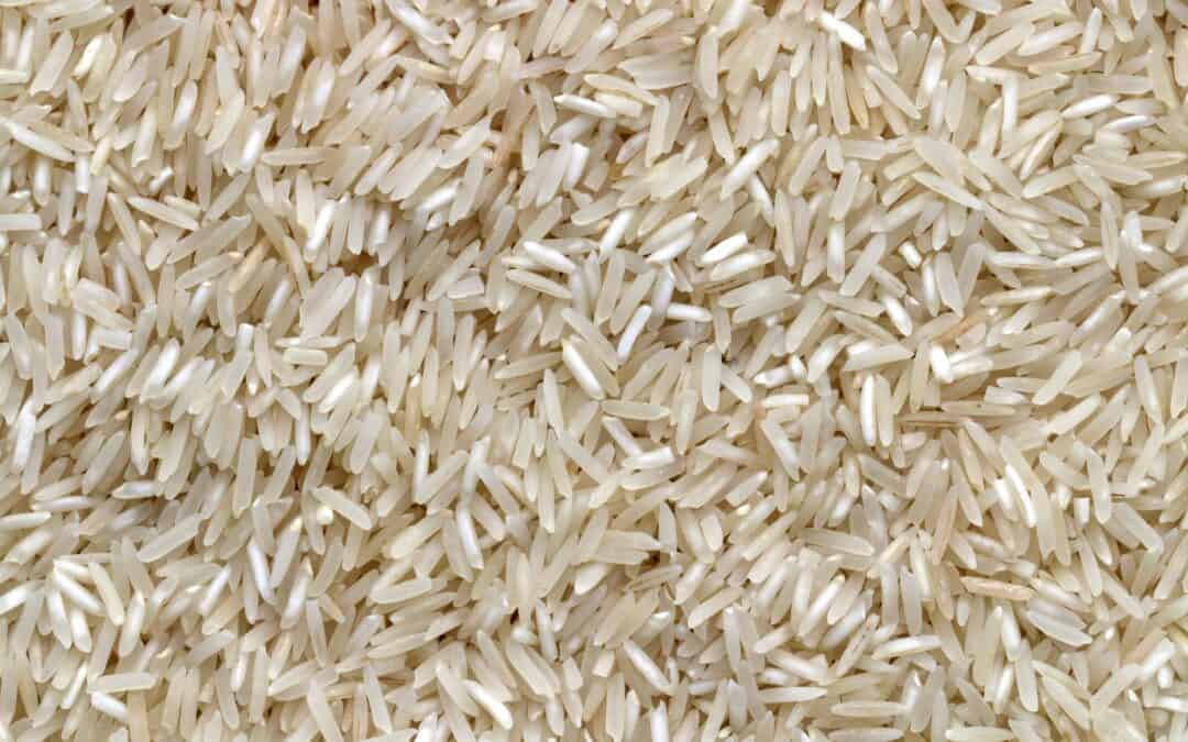 Are Rice Cookers Toxic?